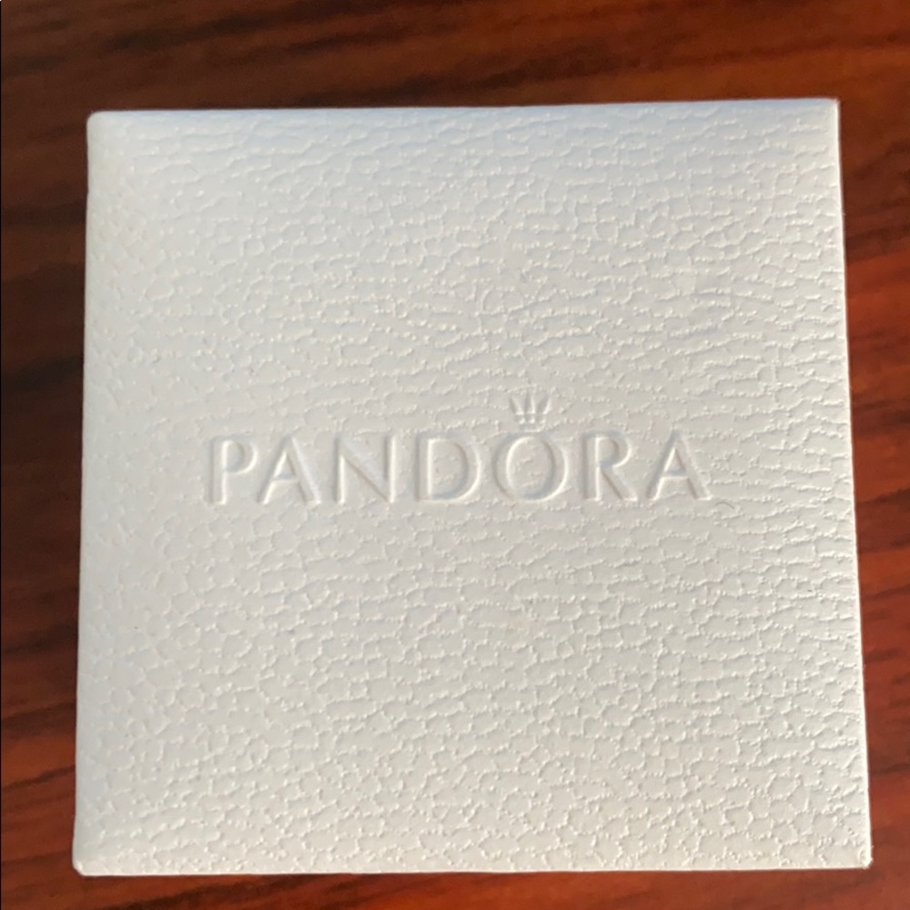 NWOT Brand New Pandora Charm Silver and SZ - Picture 3 of 3